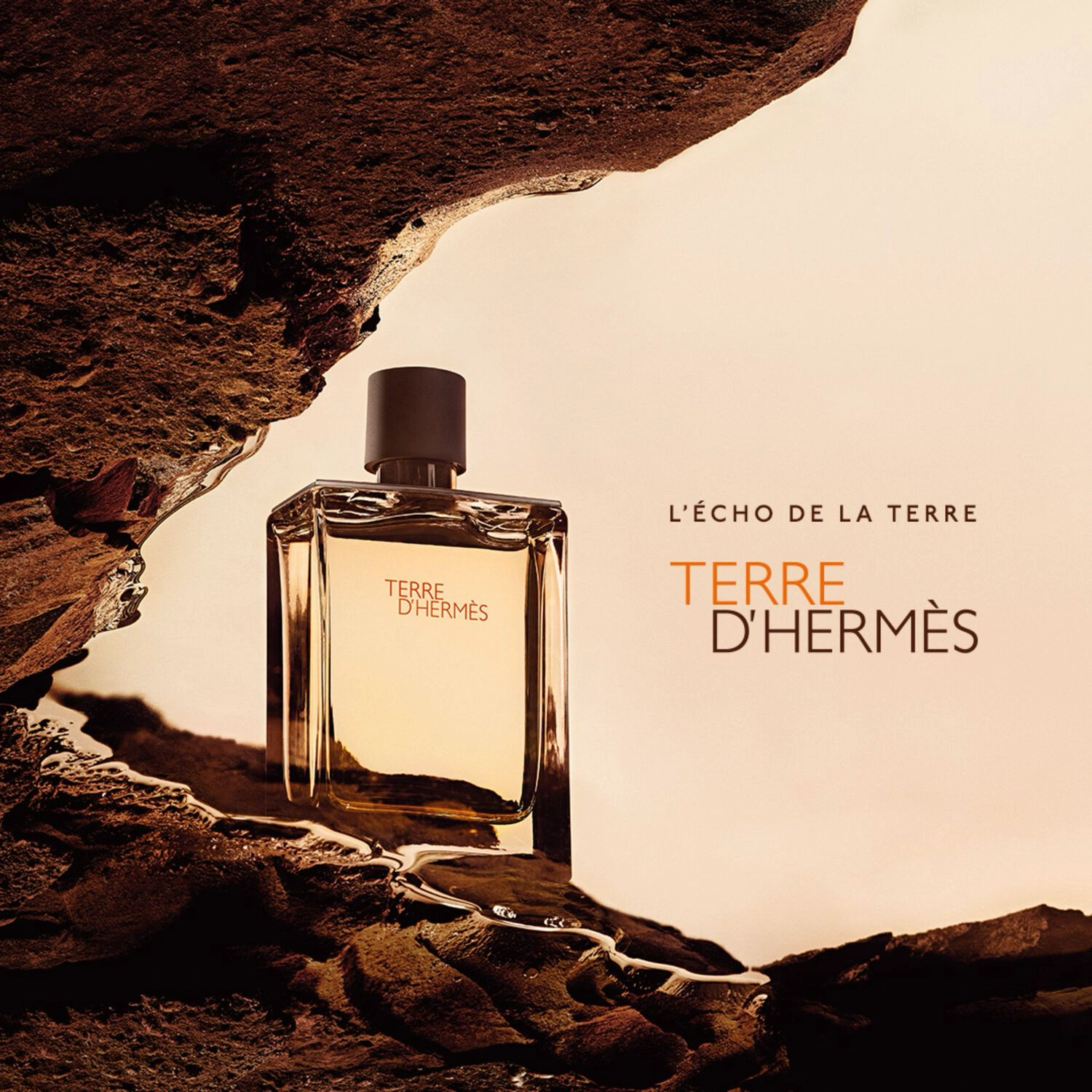 Səhranın ətri — Terre d’Hermès